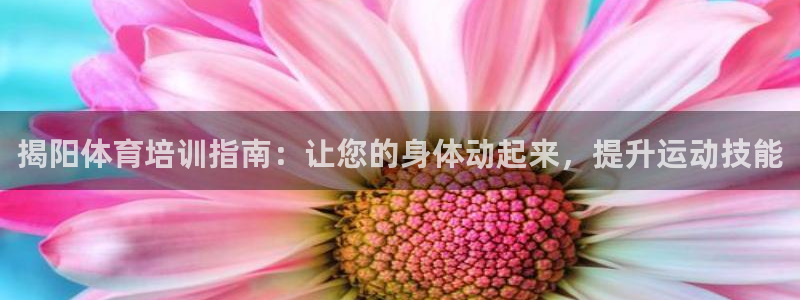 凯时国际app首页登录入口：揭阳体育培训指南：让您的