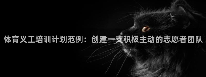 尊龙现金一下S选来就送38：体育义工培训计划范例：创