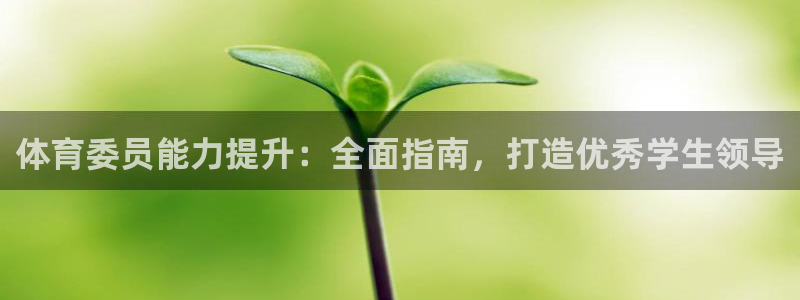 尊龙目前照片：体育委员能力提升：全面指南，打造优秀学