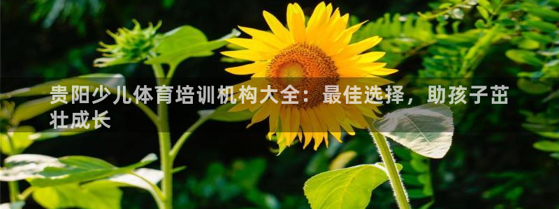 尊龙z6.con：贵阳少儿体育培训机构大全：最佳选择