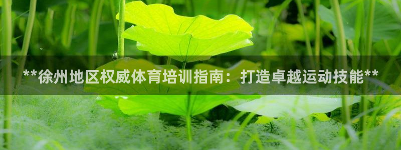 尊龙凯时取款有要求吗：**徐州地区权威体育培训指南：