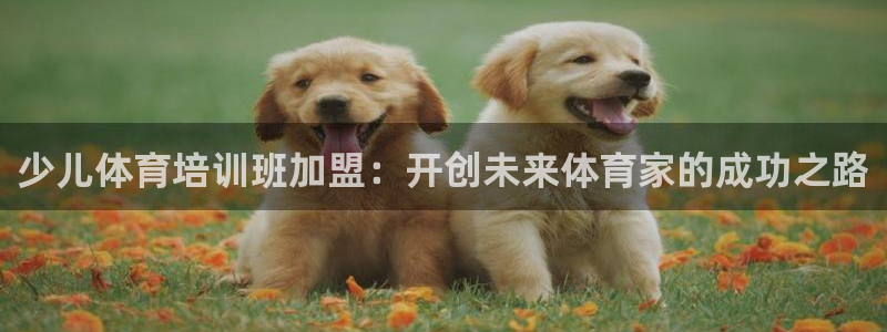尊龙凯时：少儿体育培训班加盟：开创未来体育家的成功之