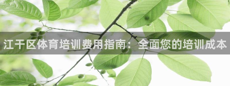 尊龙官网手机版下载：江干区体育培训费用指南：全面您的