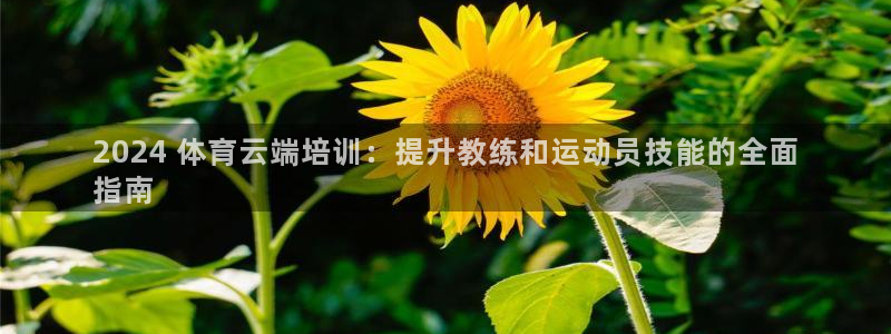 尊龙凯时人生就是搏官：2024 体育云端培训：提升教