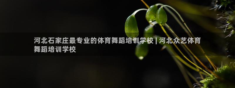 尊龙网址是多少：河北石家庄最专业的体育舞蹈培训学校 