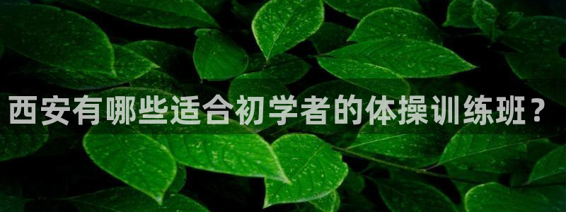 尊龙百度贴吧