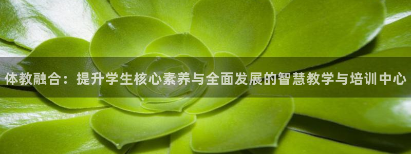 尊龙官网网站