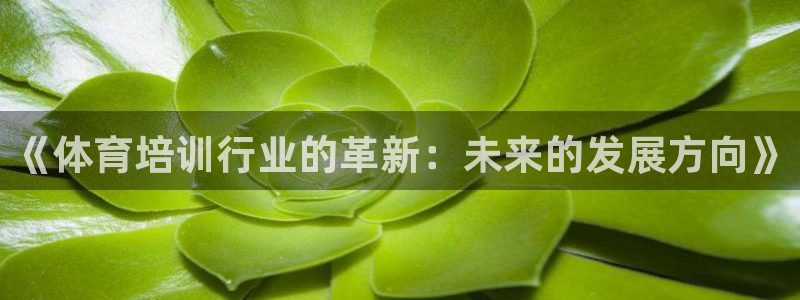 尊龙凯时app产品介绍