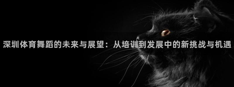 尊龙官方网站最新版V9.3.06介绍