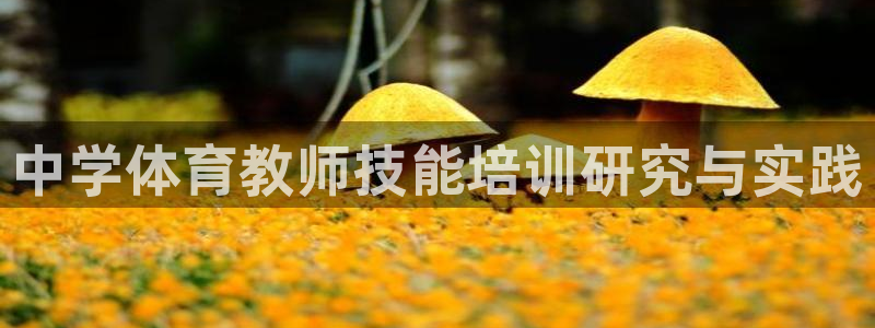 尊龙官网在哪里
