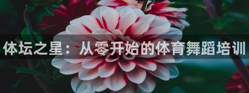 尊龙人生就是博送38