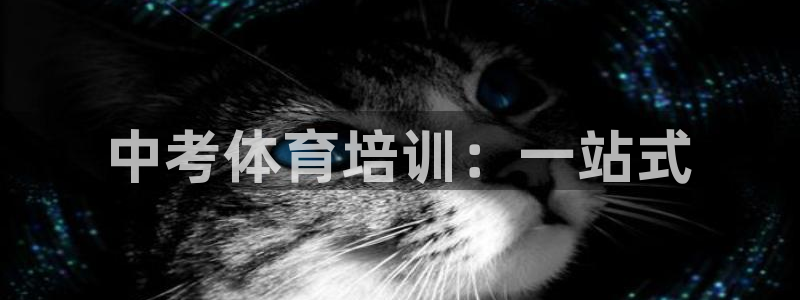 尊龙集团有限公司地址