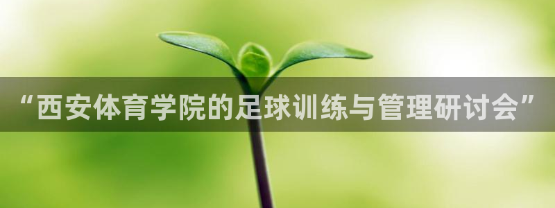 尊龙人生就是博旧版网址