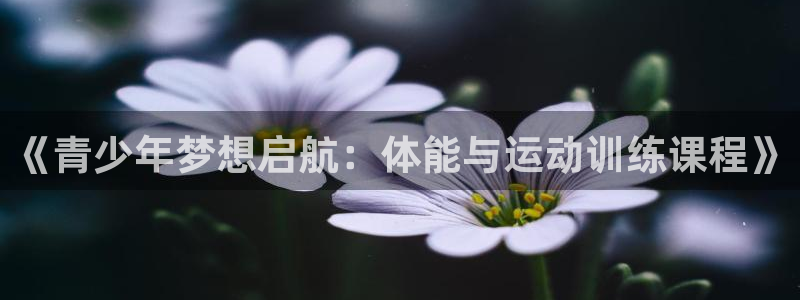 凯时平台怎么样