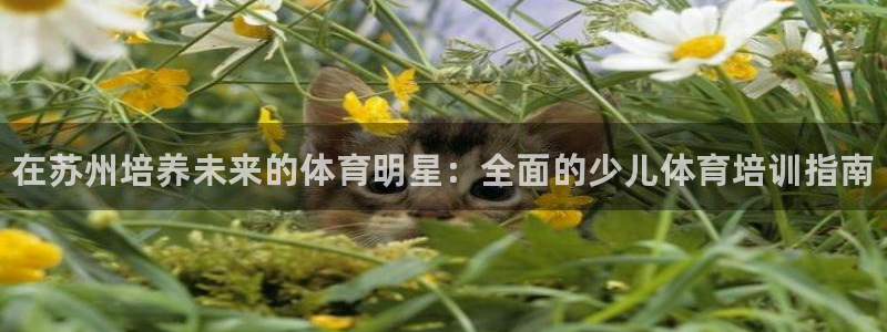 尊龙游戏官方网：在苏州培养未来的体育明星：全面的少儿