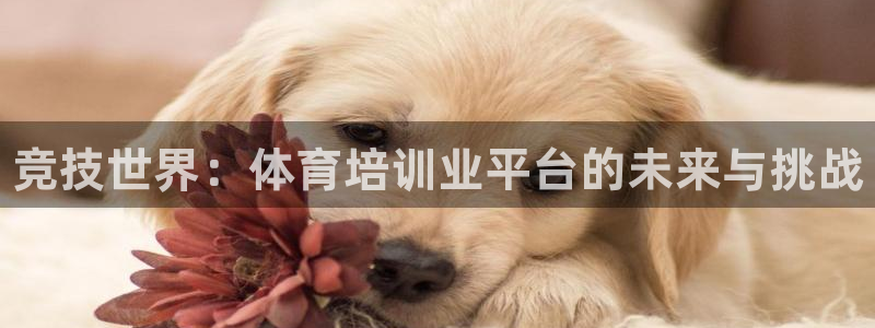 尊龙凯时人生就是博中国官网