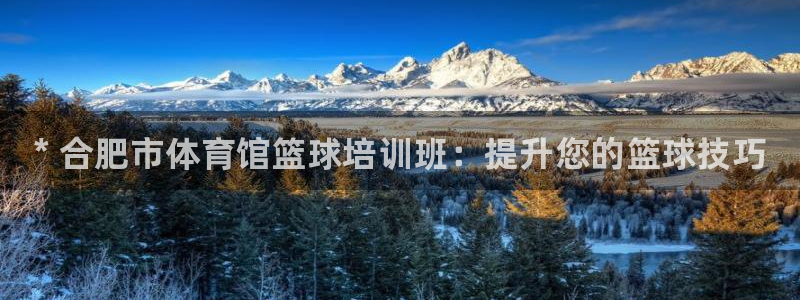 凯时国际最新：* 合肥市体育馆篮球培训班：提升您的篮