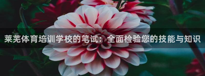 凯时网上官方网站：莱芜体育培训学校的笔试：全面检验您