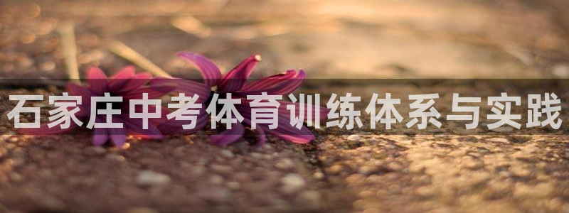 尊龙凯时老板是谁：石家庄中考体育训练体系与实践