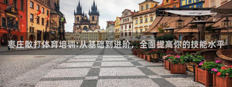 尊龙人生就是博旧版现：枣庄散打体育培训:从基础到进阶