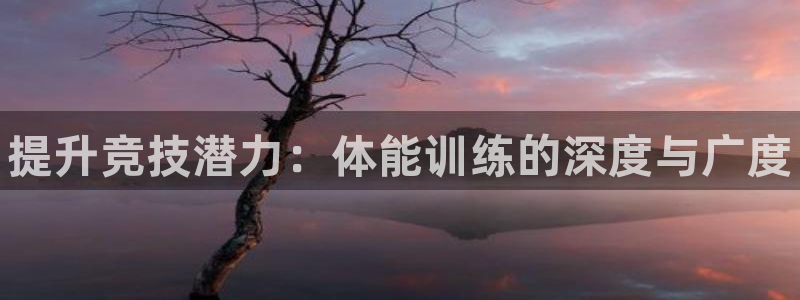 尊龙凯时人生就是搏客户：提升竞技潜力：体能训练的深度与广度