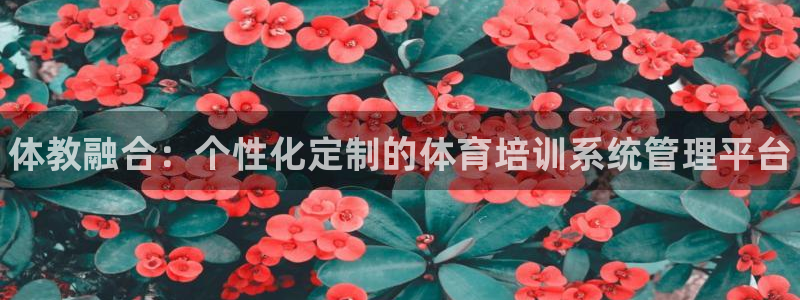 尊龙凯时输了100万：体教融合：个性化定制的体育培训