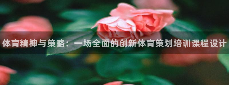 尊龙网址是选访问zd207：体育精神与策略：一场全面的创新体