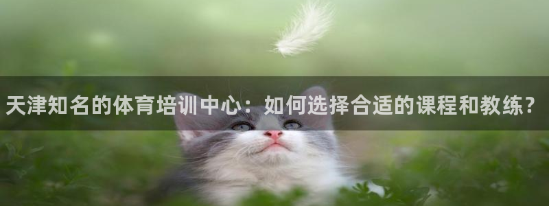 尊龙500价格：天津知名的体育培训中心：如何选择合适的课程和