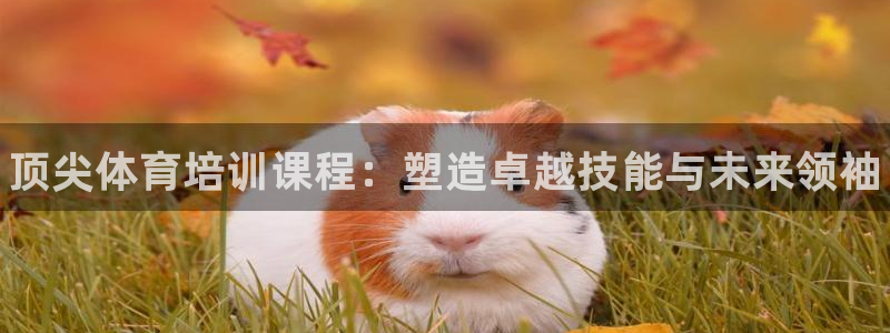 尊龙凯时的生产设备：顶尖体育培训课程：塑造卓越技能与未来领袖