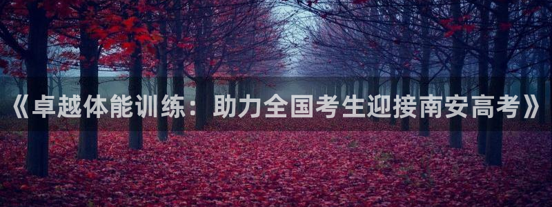 尊龙凯时新闻：《卓越体能训练：助力全国考生迎接南安高考》