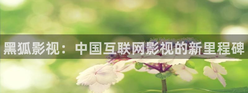苍苍影院电视剧免费看：黑狐影视：中国互联网影视的新里程碑
