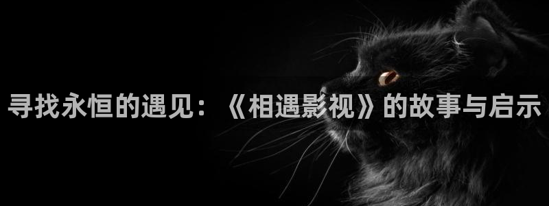 4480yy苍苍私人影院：寻找永恒的遇见：《相遇影视》的故事与启示