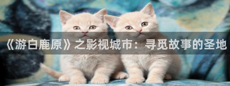 苍苍影视午夜：《游白鹿原》之影视城市：寻觅故事的圣地