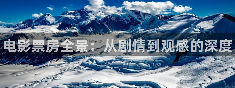 苍苍影院午夜：电影票房全景：从剧情到观感的深度