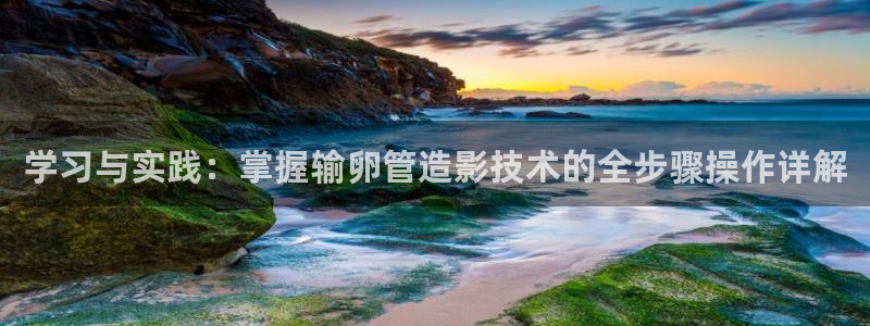 yy苍苍私人电影院：学习与实践：掌握输卵管造影技术的全步骤操作详解